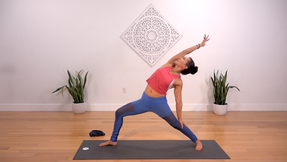 Journey to Pincha: Core And Upper Body Strength Flow - Online Yoga ...