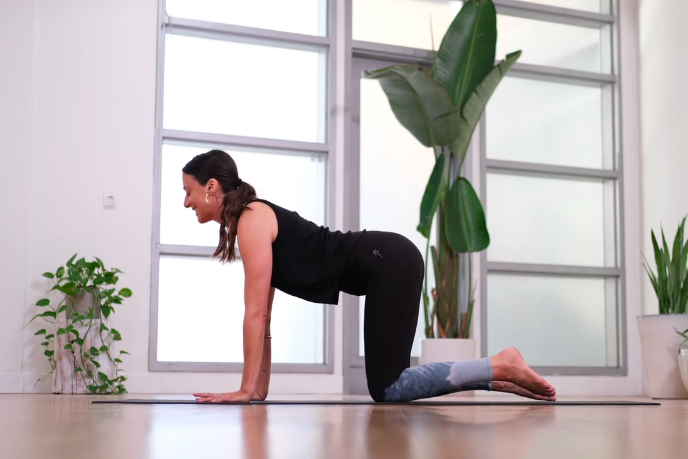 Core Fire 30 - Online Yoga Class - The Yoga Collective