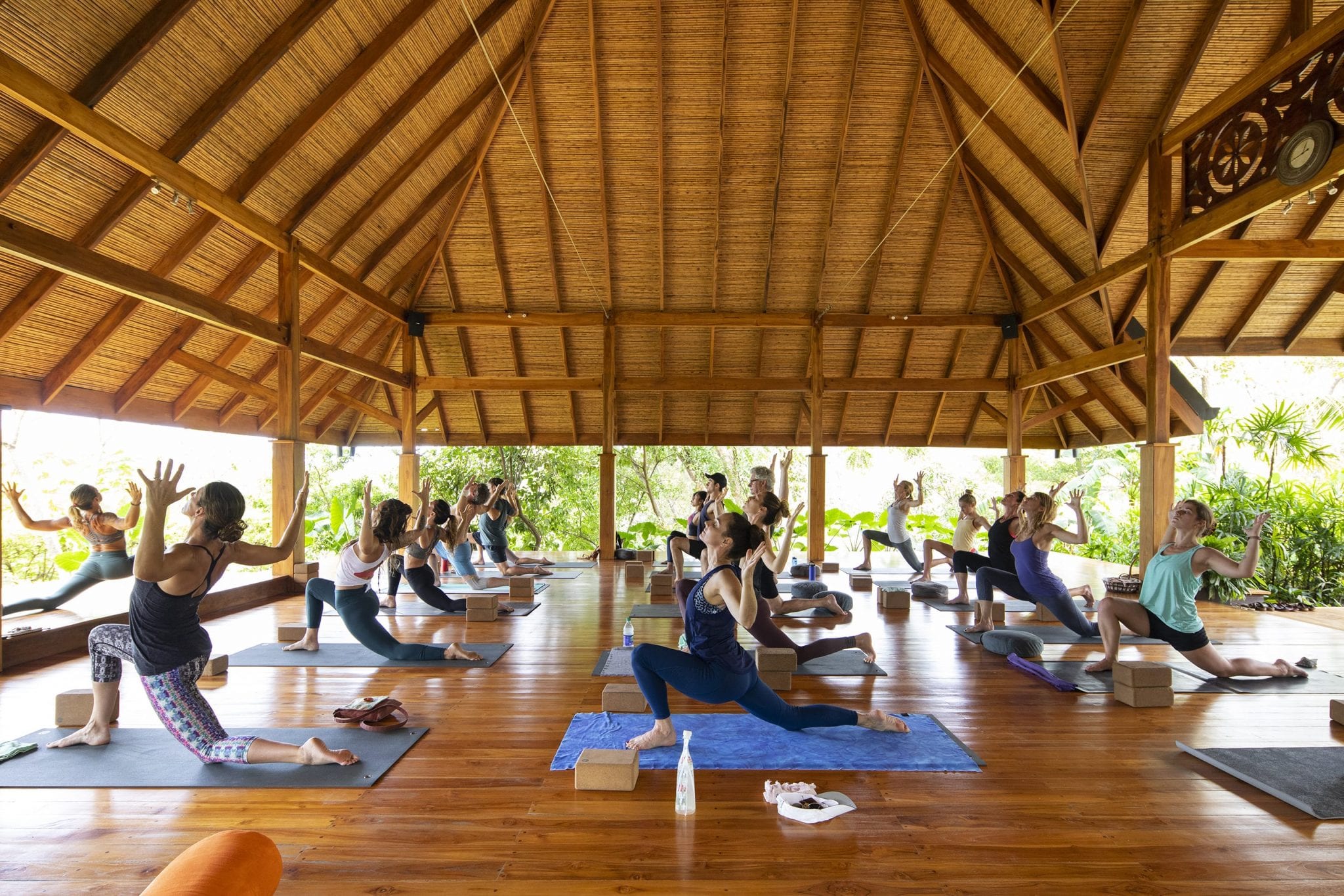 Costa Rica Retreat with Andrea Jensen - The Yoga Collective